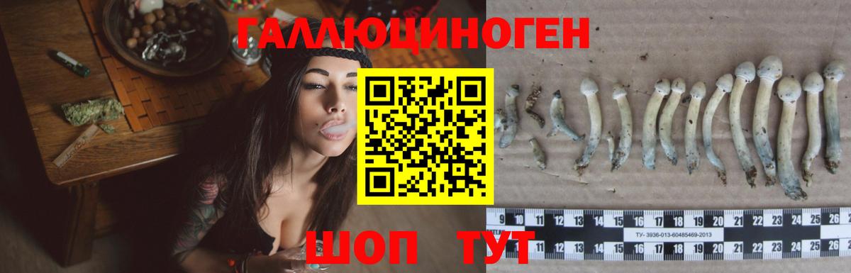 Галлюциногенные грибы Magic Shrooms  Псилоцибиновые грибы GOLDEN TEACHER  Вход с VPN  Рузаевка 
